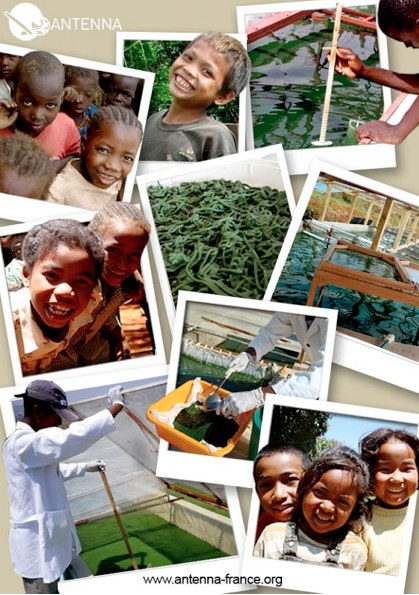 La fondation Antenna