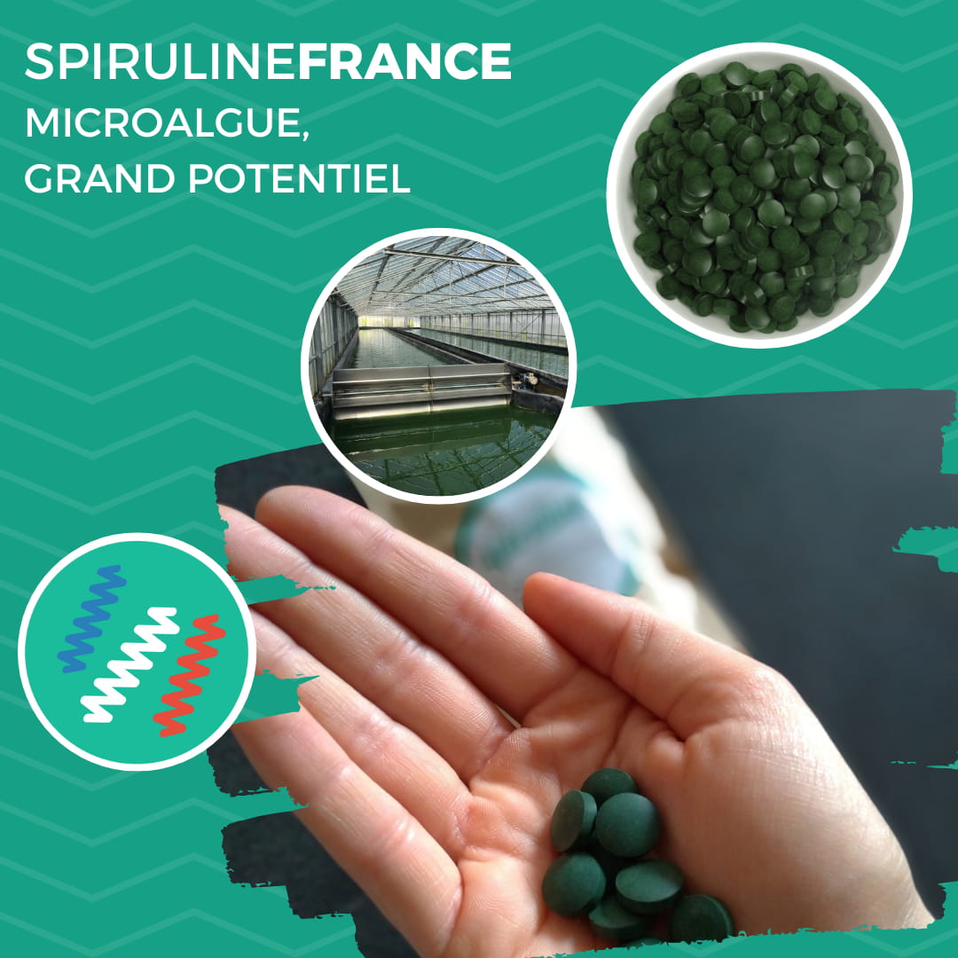 Spiruline France : bienvenue
