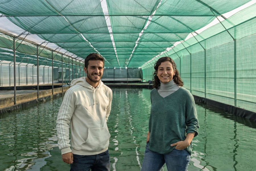 Fatima et Arthur producteurs de spiruline